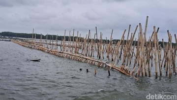 Benar Saja, Pagar Laut di Bekasi Ternyata buat Reklamasi