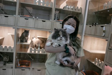 Jasa Hotel Kucing Laris Manis Jelang Lebaran