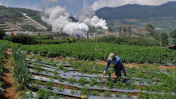 Bahlil Terbitkan Aturan Jual Beli Listrik buat Geber Pembangkit EBT