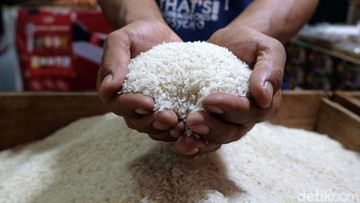 Kementan Endus Kecurangan Beras, Rugikan Konsumen Rp 99,35 T Per Tahun