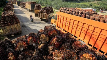 Rencana RI Agar 2 Produk Dagang Ini Tak Kena Tarif Trump