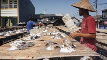 KKP Catat Produksi Perikanan Alami Kenaikan