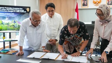 RM Padang Sederhana Bakal Nongol di IKN