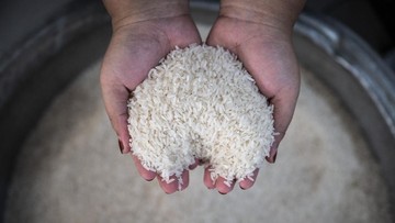 Harga Beras Khusus Tembus Rp 120 Ribu/Kg, Pemerintah Turun Tangan