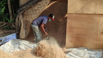 HTI untuk Biomassa RI Diklaim Tak Picu Deforestasi