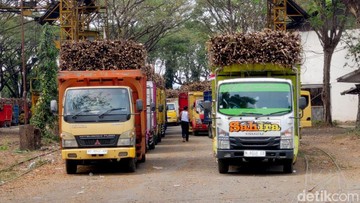 BUMN Pangan Beli 121 Ribu Ton Gula Petani, Telan Dana Rp 1,75 T