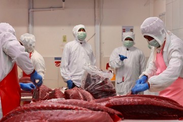 AS Percayakan KKP sebagai Certifying Entity untuk Udang Indonesia