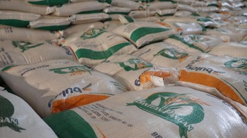 Beras Bulog Turun Mutu Hampir 30 Ribu Ton, Masih Layak Dimakan?