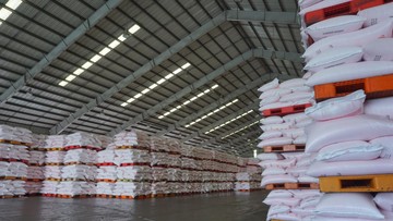 Pemerintah Mau Bangun 7 Pabrik Pupuk Baru, Anggarannya Rp 50 T