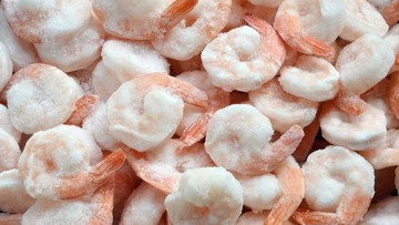 Pemerintah Tambah Alat Deteksi Radioaktif buat Geber Ekspor Udang ke AS