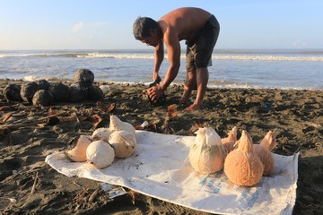 Ramadan Dongkrak Penjualan Kelapa Muda Bakar