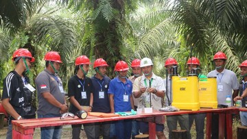 Kisah Petani Sawit Tertipu Bibit Abal-abal hingga Bangkit Tanam Harapan Baru