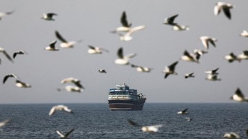 Selat Hormuz Ditutup Lagi, Begini Kondisi Terkini 2 Kapal Pertamina