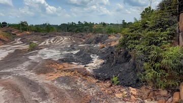 Tambang Ilegal di Sekitar IKN Terbongkar, Ini Daftarnya