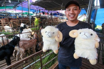 Beli Hewan Kurban Gratis Boneka Domba