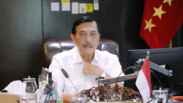 Luhut Minta Maaf ke Investor Global