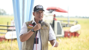 BULOG Tegaskan Tetap Serap Gabah Hasil Panen Petani Secara Berkelanjutan