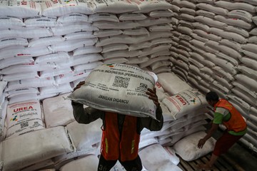 Penyaluran Pupuk Subsidi Capai 4,3 Juta Ton