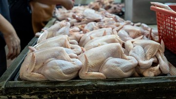 Harga Daging Ayam Naik di 188 Daerah, Ini Penyebabnya