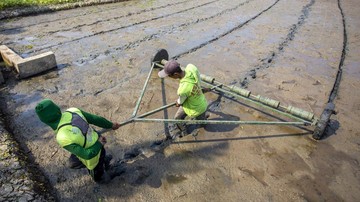 Inovasi Tanam Padi Modern, Produksi Ditargetkan Capai 10 Ton/ Hektare